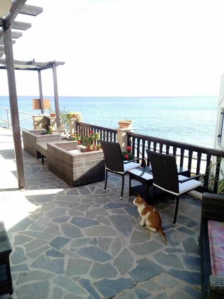 Coral Front Beach Káto Zákros Eksteriør bilde